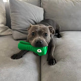 Crocodile Dental Chew