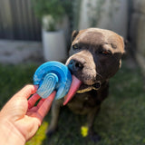Power Chewers Collection
