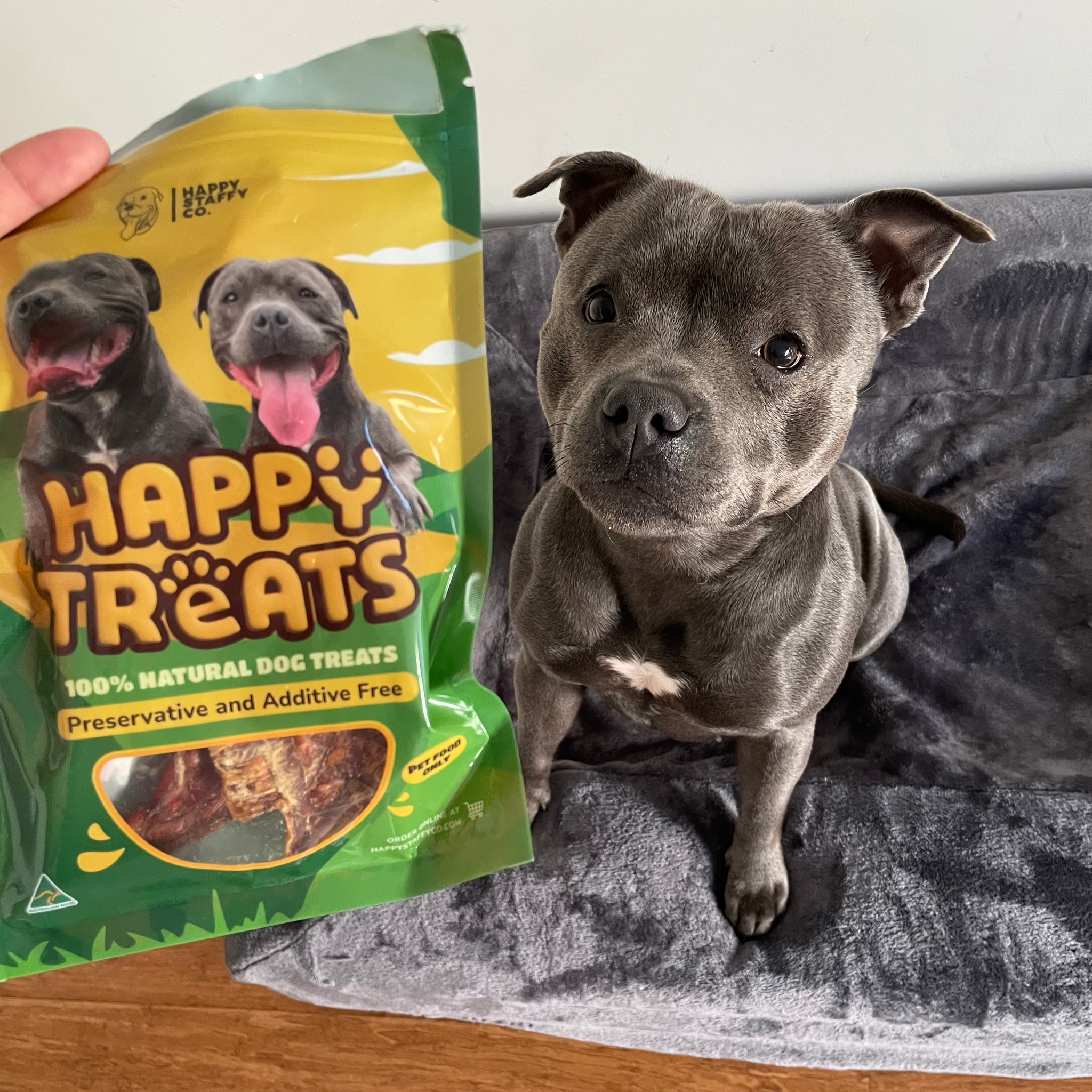 Treat & Toy Combo (Classic Collection)