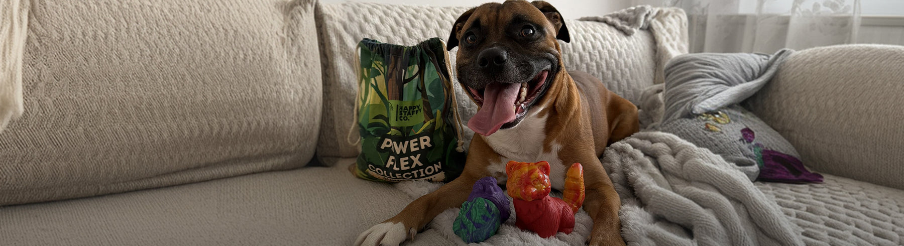 Dog Toys
