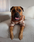 Cotton Dog Jumper