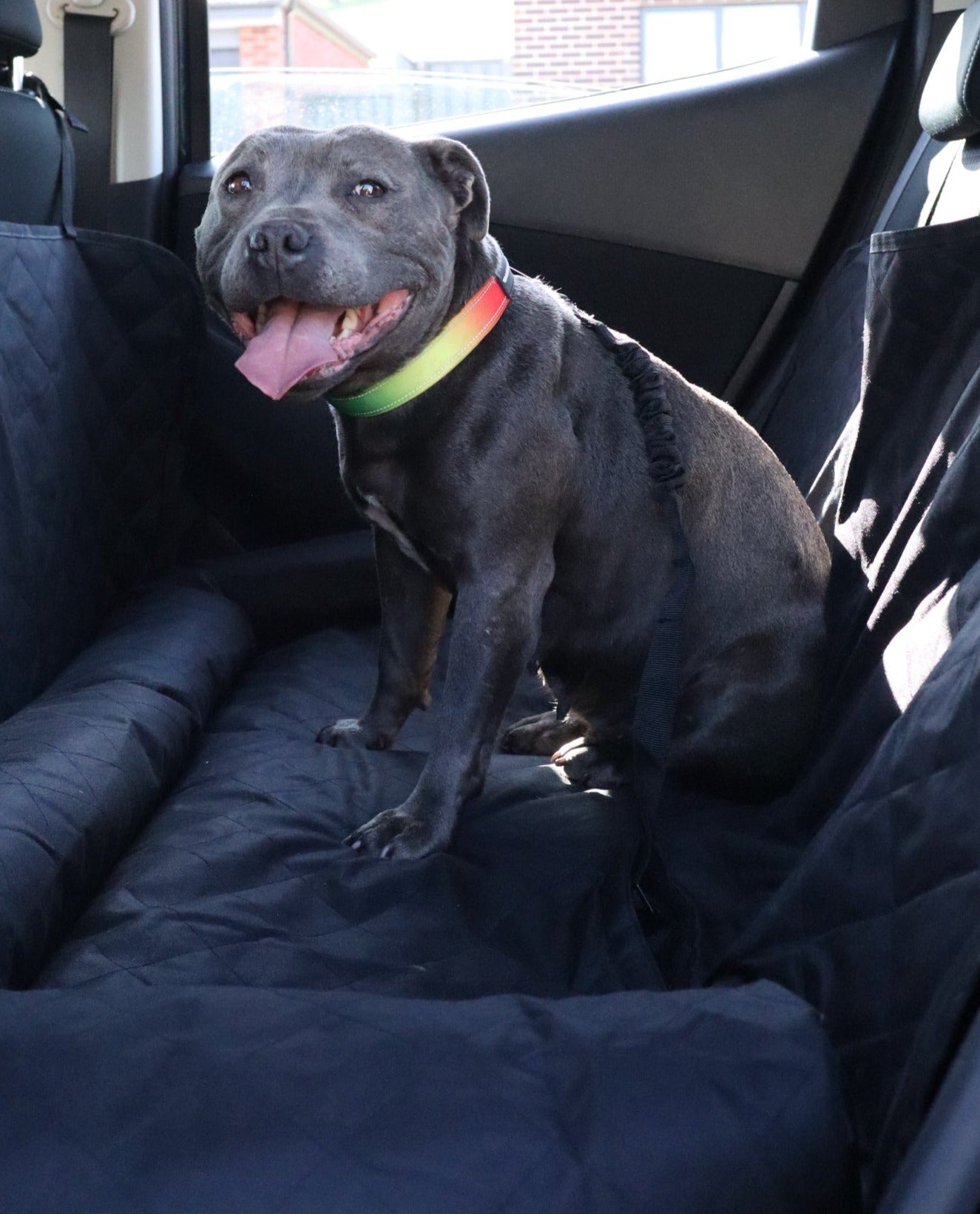 Premium Car Seat Protector