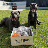 Black Friday Ultimate Toy & Treat Bundle