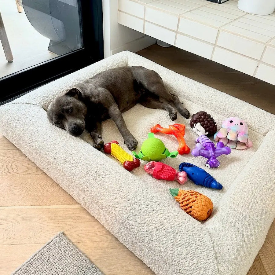 Dog resting on bed surrounded by multiple toys including the Squeaky Fish dog toy.
