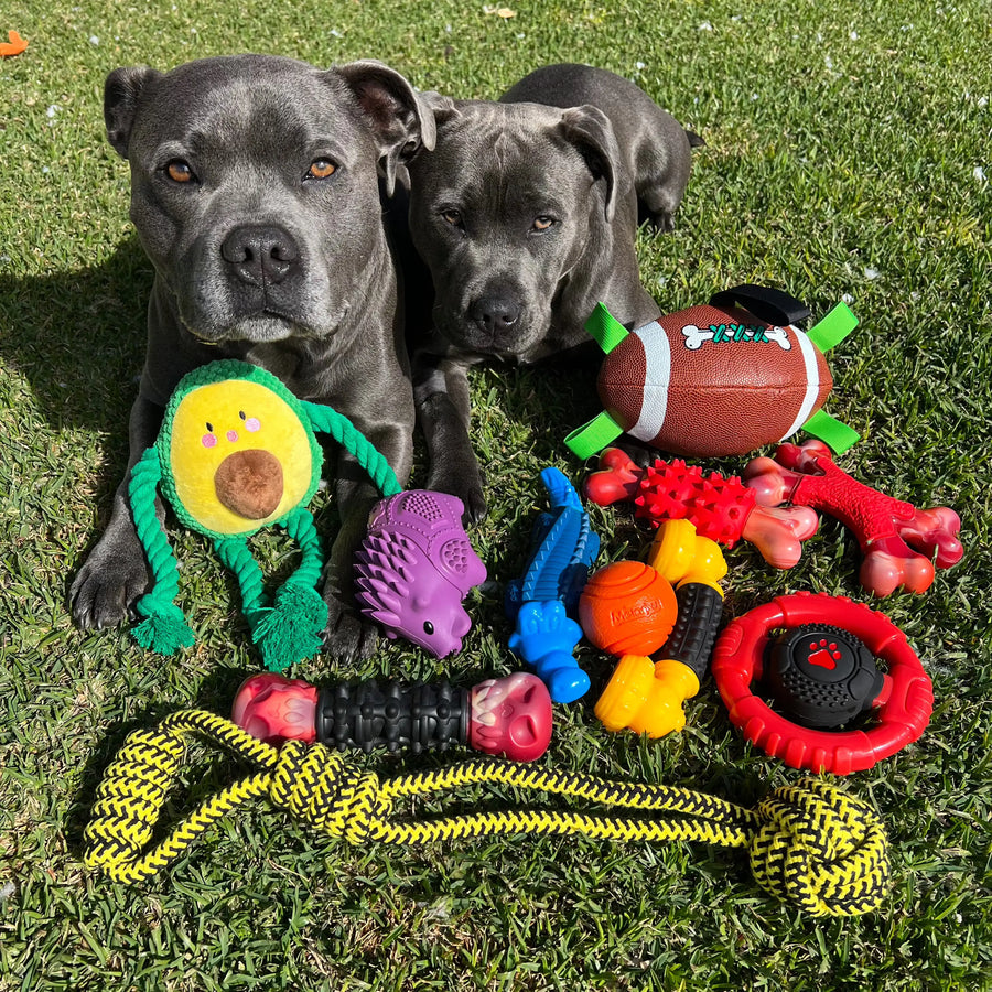 Two dogs outdoors surrounded by dog toys including the Power Chew Wheel