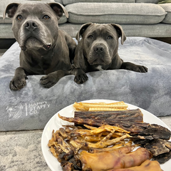 Natural Treat Bundle