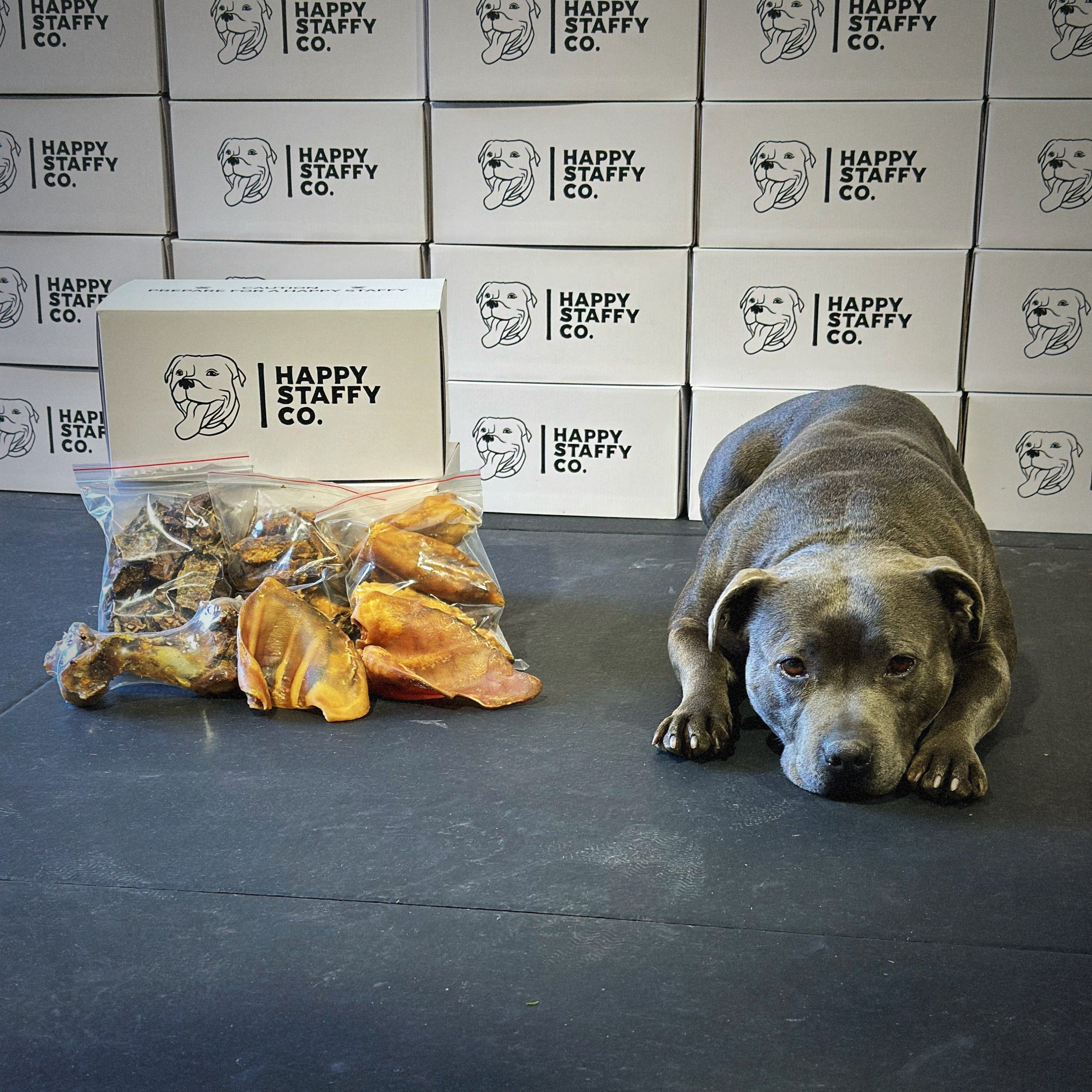 Treat & Toy Combo (Power Chewers Collection)