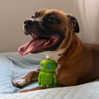 Musical Bot