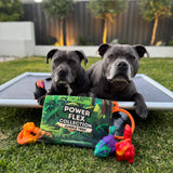 Black Friday Ultimate Toy & Treat Bundle