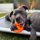 PowerFlex™ Jungle Trek Collection