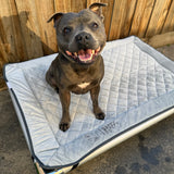 Chew-Proof Bed & Cover Bundle