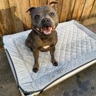Chew-Proof Bed & Cover Bundle