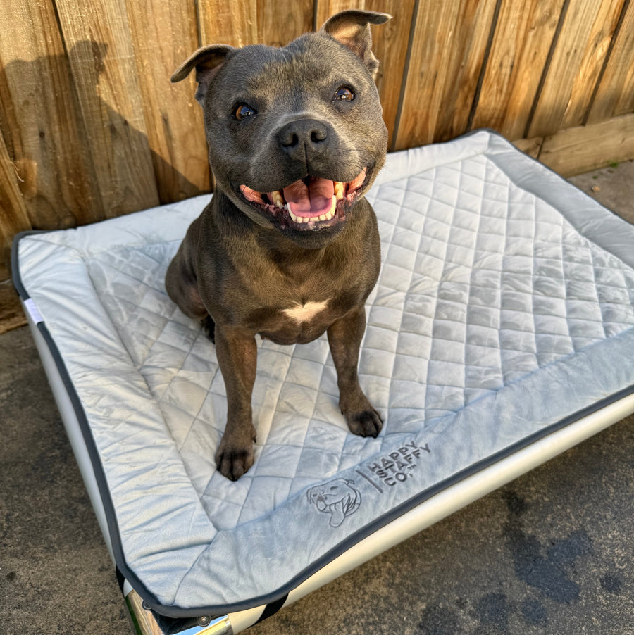 Chew-Proof Bed & Cover Bundle