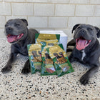 Two dogs sitting beside Happy Staffy Co natural dog treats displayed in packaging.