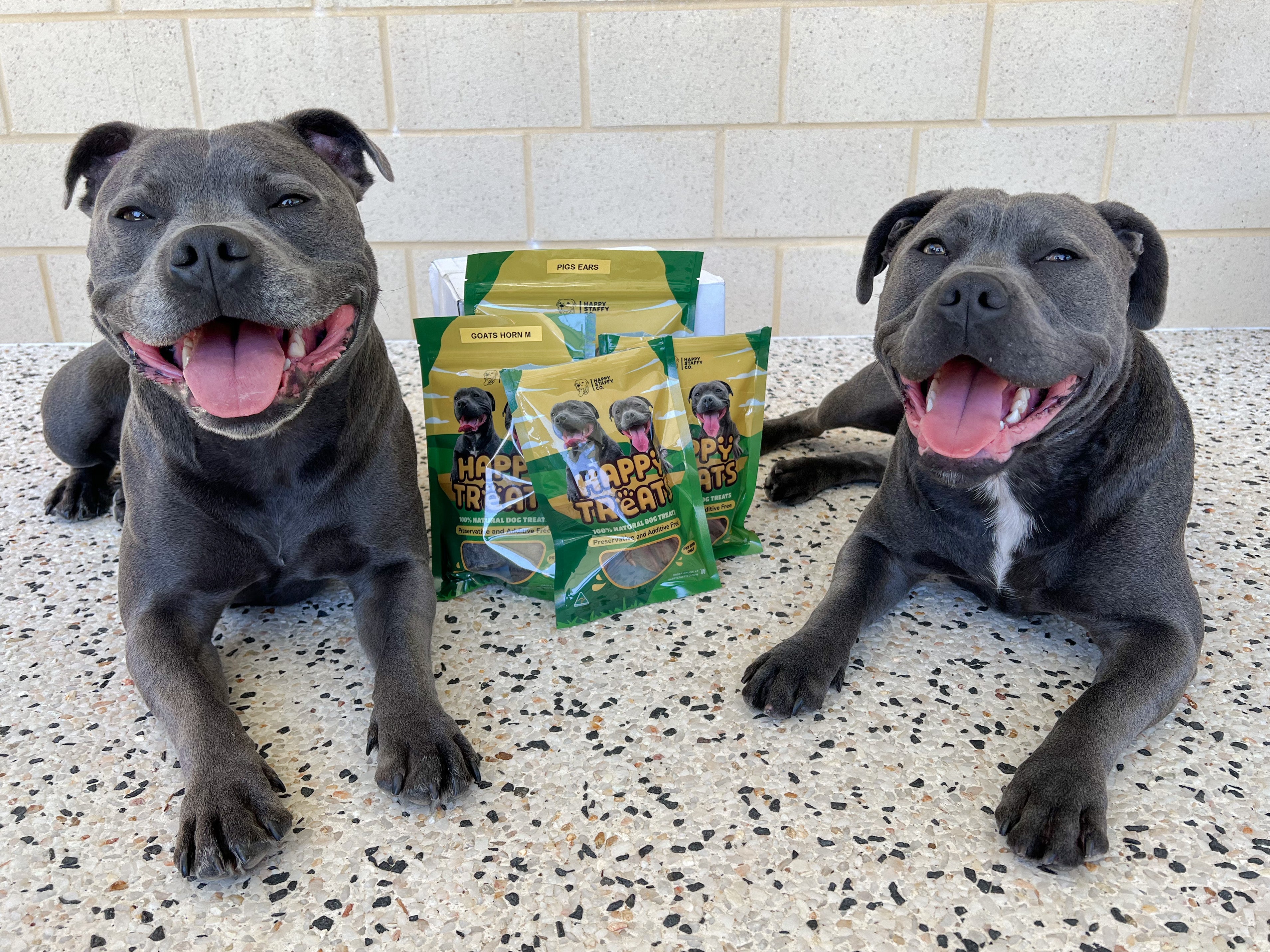 Treat & Toy Combo (Power Chewers Collection)