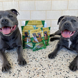 Treat & Toy Combo (Power Chewers Collection)