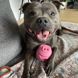 Treat & Toy Combo (Classic Collection)