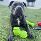 Squeaky Shoe
