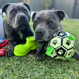 Squeaky Shoe