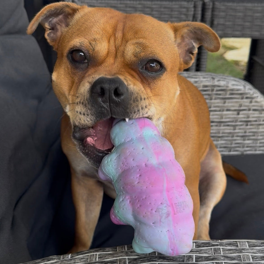 Cosmo Critter