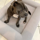 Orthopedic Memory Foam Bed + Durable Bed Cover Combo