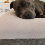 Orthopedic Memory Foam Bed + Pullover Blanket Cover