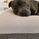 Orthopedic Memory Foam Bed + Pullover Blanket Cover