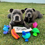 Power Chewers Collection