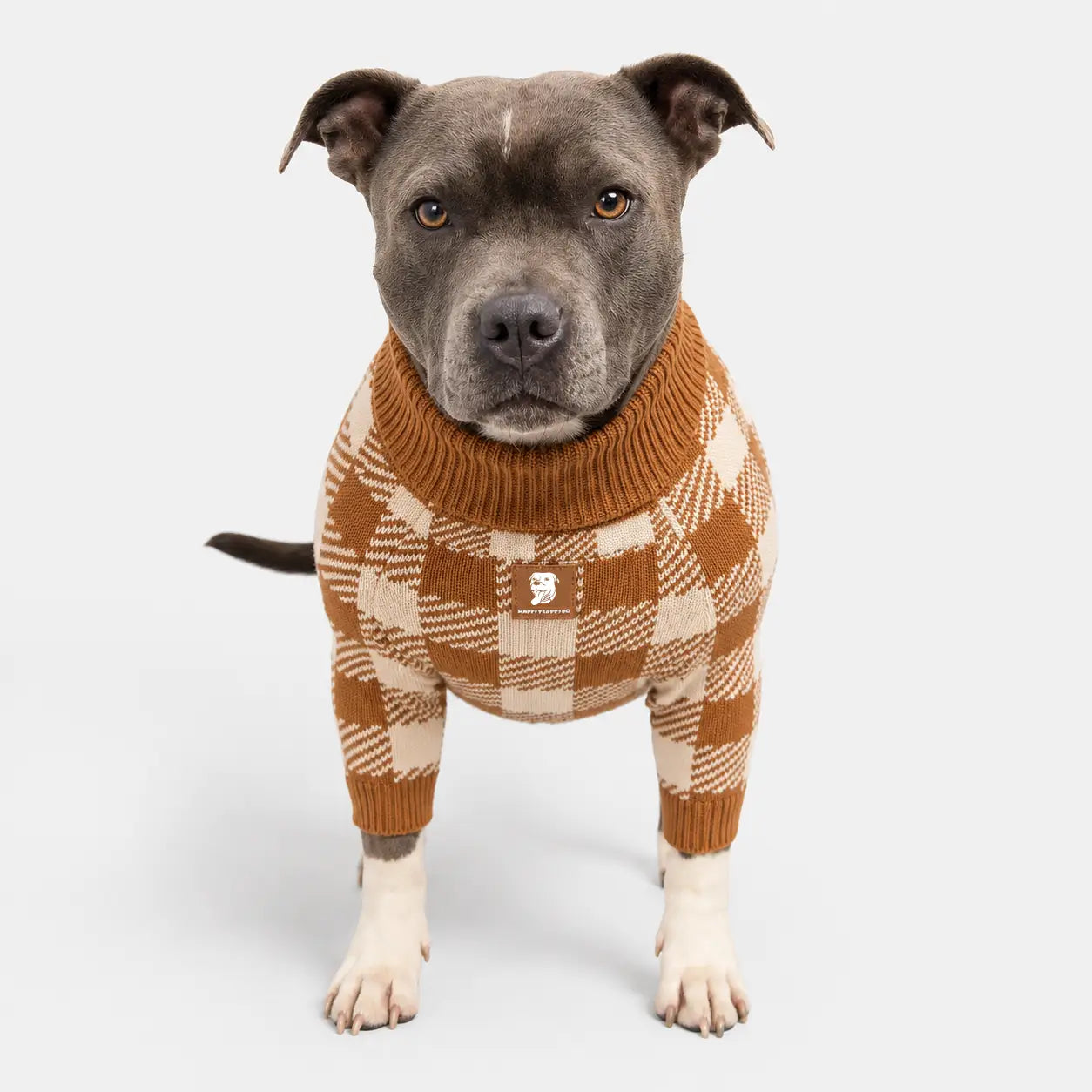 Cotton Dog Jumper