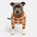 Cotton Dog Jumper