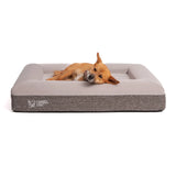 Orthopedic Memory Foam Bed + Durable Bed Cover Combo