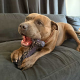 Chewzilla® Galactic Quest Collection