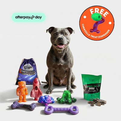 Treat & Chew Bundle