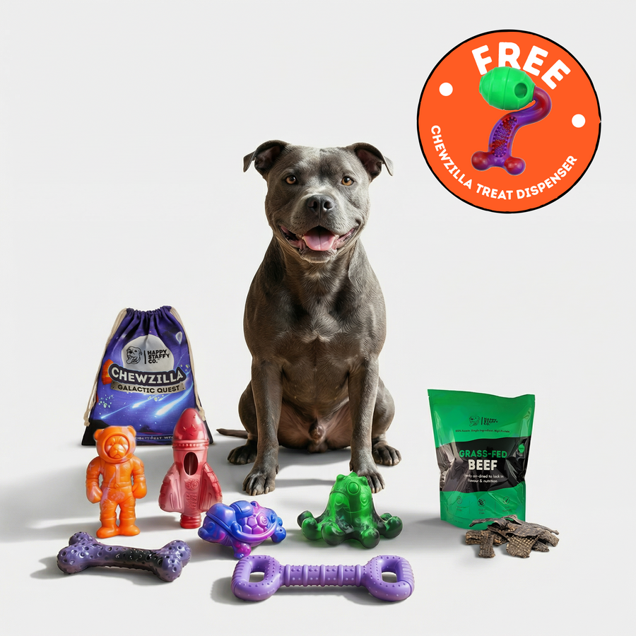 Treat & Chew Bundle
