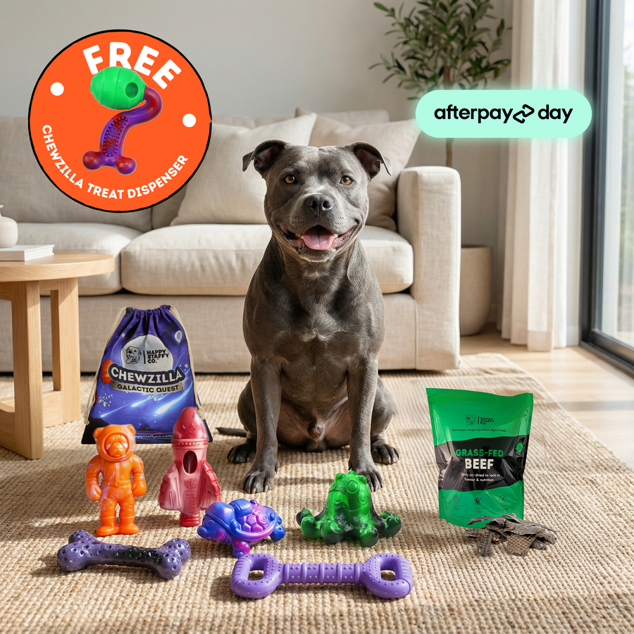 Treat & Chew Bundle