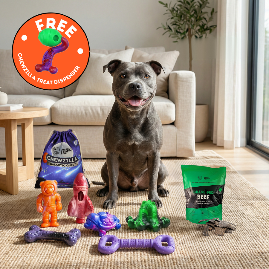 Treat & Chew Bundle