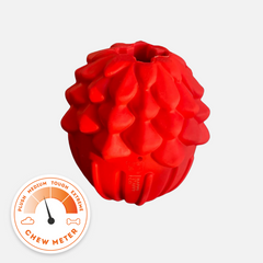 Nutty Pup Treat Dispenser