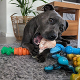 Power Chewers Collection