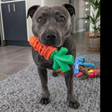 Power Chewers Collection