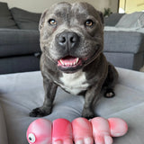 Tough Wiggle Worm