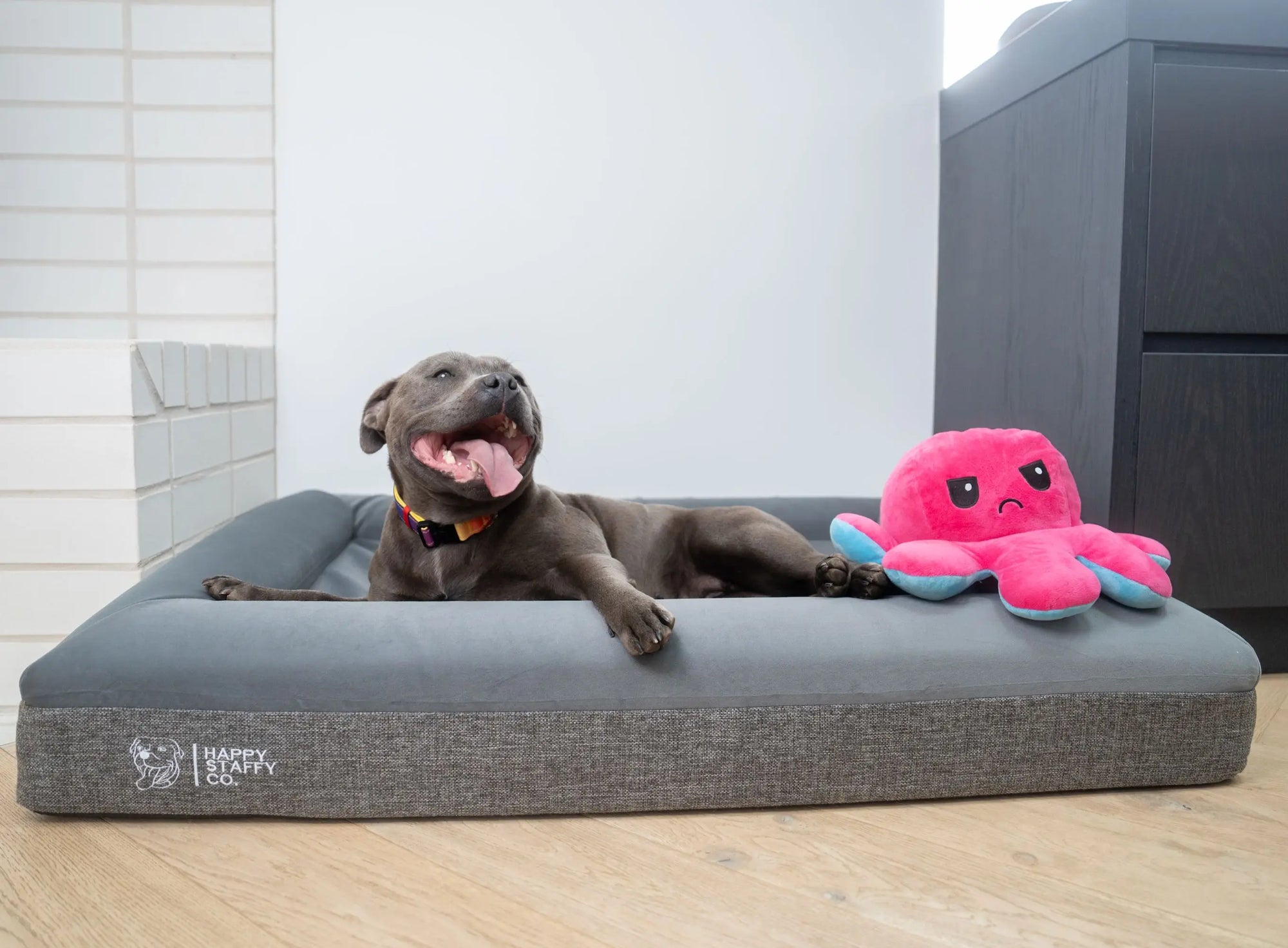 Dog lounging playfully on a deluxe orthopedic memory foam dog bed with a plush toy beside it.