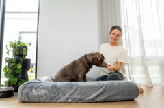 Pullover Blanket Cover