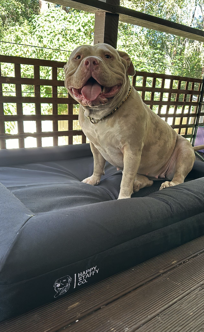 Durable Bed Cover