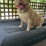 Durable Bed Cover