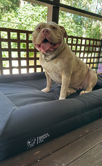 Durable Bed Cover
