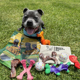 Chewzilla® Treat Dispenser