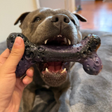 Chewzilla® Galactic Quest Collection