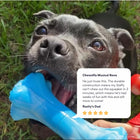 Dog chewing the blue Chewzilla Musical Bone outdoors with customer review overlay.
