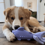 Treat & Toy Combo (Classic Collection)
