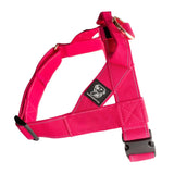 Staffy Harness